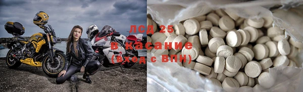 мяу мяу мука Кукмор